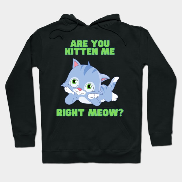 Are you kitten me right meow, Are You Kitten Meow, cat, Kitty, kitten, animal, pet, funny, cute, humorous, humour, funny cats, cute cats Hoodie by DESIGN SPOTLIGHT